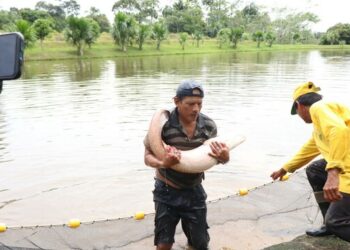 Loreto: Se desarrolló con gran éxito la 1° Ruta Productiva e Innovadora de Paiche y Gamitana