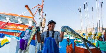 Perú Mahi Alliance: se busca asegurar el desarrollo sostenible en la pesca del perico peruano