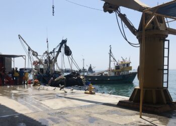 Exportaciones de pesca para Consumo Humano Directo comenzó su recuperación en el 2021