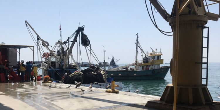 Exportaciones de pesca para Consumo Humano Directo comenzó su recuperación en el 2021