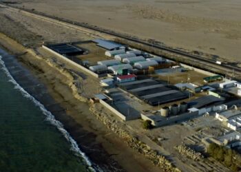 Ecosac inaugura el primer laboratorio de larvas de langostino para venta a nivel nacional