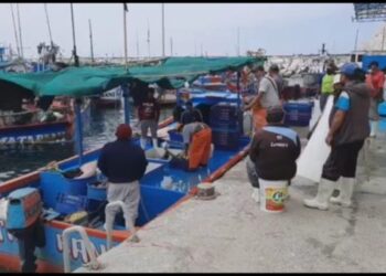 Arequipa: Denuncian presencia de embarcaciones de otras regiones y pérdida de especies