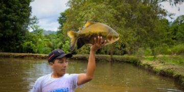 Vraem: nuevo laboratorio producirá más de 1 millón de alevinos de peces amazónicos