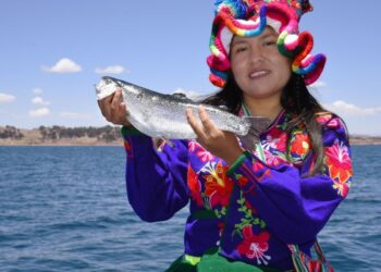 Puno: Embajada de Estados Unidos ayudará a impulsar la exportación de trucha