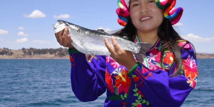 Puno: Embajada de Estados Unidos ayudará a impulsar la exportación de trucha