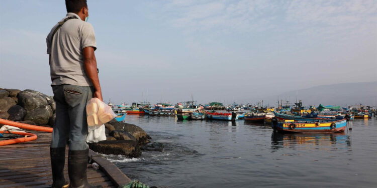 Peor desastre ecológico de Perú azota a miles de pescadores