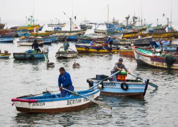 Lambayeque: Pesca ilegal ataca el mar de San José y Mórrope