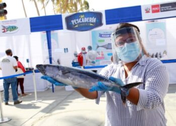 Ejecutivo promocionará más de 2,500 toneladas de pescado a nivel nacional