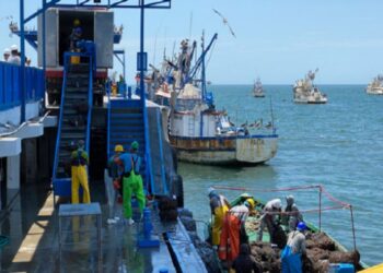 Piura: Sanipes fiscaliza zonas de producción de conchas de abanico en bahía de Sechura