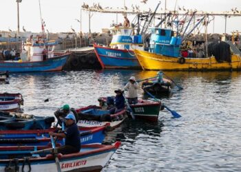 Fondepes: obras en desembarcadero artesanal de Ilo culminarán en un mes