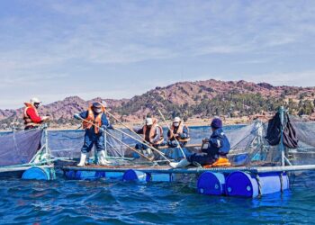 Ministerio de la Producción informó que la acuicultura nacional se recuperó en el 2021