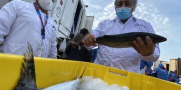 Especialistas europeos capacitan a personal de Sanipes en control de productos hidrobiológicos