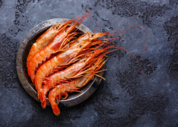 Tumbes: empresa acuícola Marinasol espera exportar 22 mil toneladas de langostino