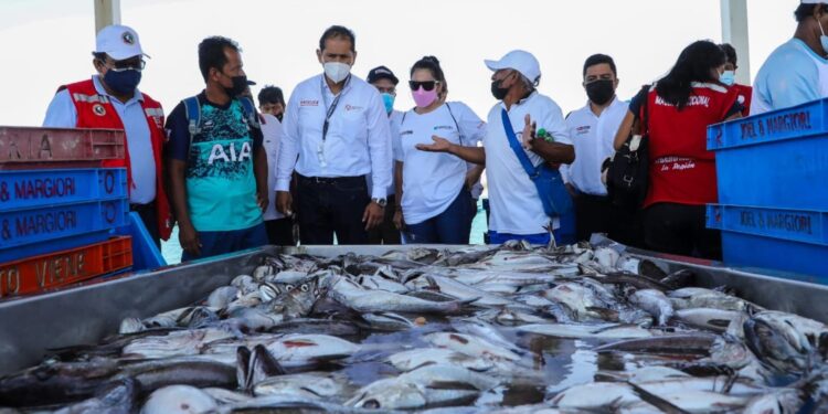Huánuco, Puno, Piura, Áncash y Lambayeque duplican consumo de pescado