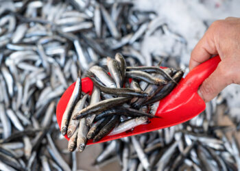 Sin tiempo que perder