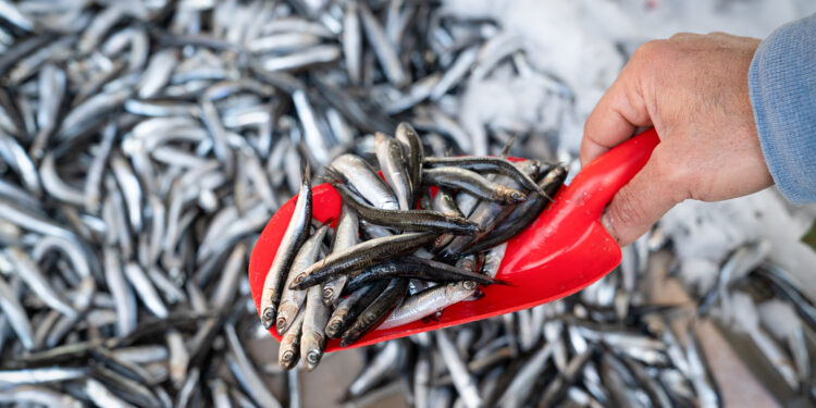 Sin tiempo que perder