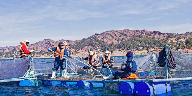 Produce autorizó la transferencia de S/ 5.9 millones para proyectos de innovación en pesca y acuicultura