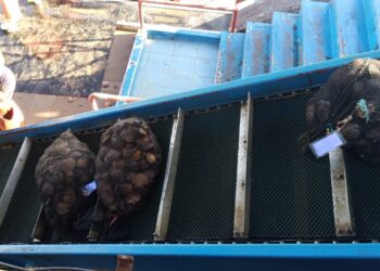 Programa de formadores permitirá a los acuicultores y procesadores exportar productos marinos al exterior