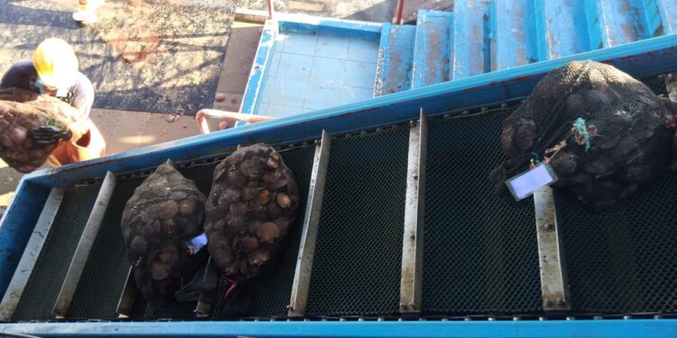 Programa de formadores permitirá a los acuicultores y procesadores exportar productos marinos al exterior