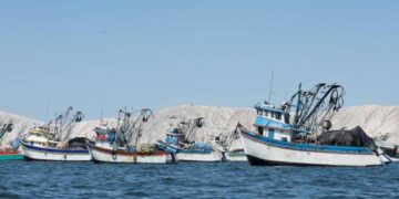 Entidad bancaria otorga financiamiento vinculado a la sostenibilidad en el sector pesquero por US$ 22 millones