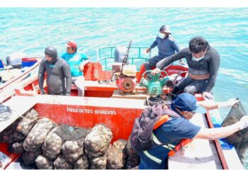 Produce destinará más de S/ 100 millones a infraestructuras pesqueras artesanales