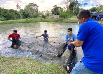Se dispuso la reducción temporal de multas al sector acuícola y pesquero impuestas por el Produce