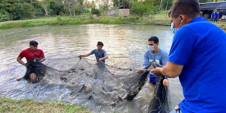 Se dispuso la reducción temporal de multas al sector acuícola y pesquero impuestas por el Produce
