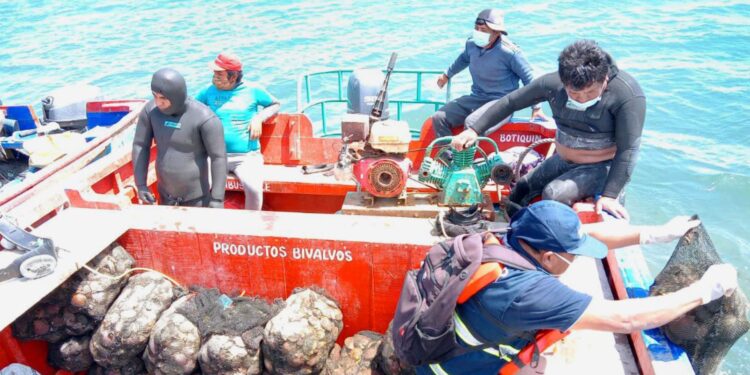 Produce destinará más de S/ 100 millones a infraestructuras pesqueras artesanales