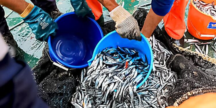 En la pesca nada es eterno