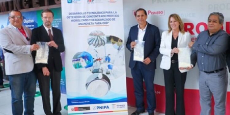 Produce: Investigadores peruanos desarrollan proteína de anchoveta para combatir desnutrición infantil