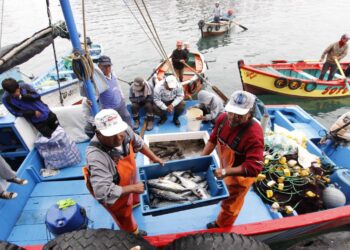 El 85% de pescadores artesanales considera que la Ley General de Pesca debe ser modificada