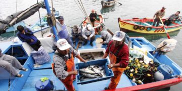 El 85% de pescadores artesanales considera que la Ley General de Pesca debe ser modificada