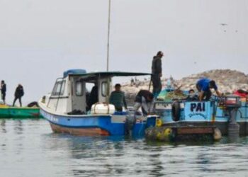 Imarpe – Santa Rosa: 31 años investigando los ecosistemas marinos de la región Lambayeque