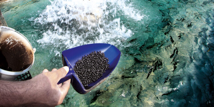 PNIPA culminaría primera fase con más de S/. 380 millones de inversión y 1900 proyectos de innovación en pesca y acuicultura