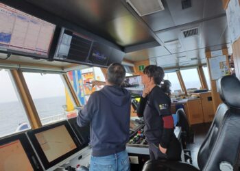 Una guía de buenas prácticas para aplicar la inteligencia artificial en el sector pesquero