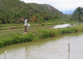 Lanzan plataforma articuladora de productores acuícolas del Perú “Beka Sostenible”