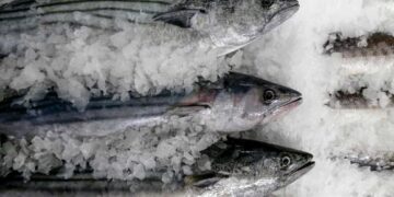 Pesca para consumo directo se ve afectada ante presencia del fenómeno “La Niña”