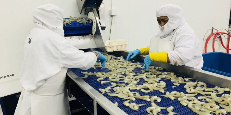 Exportadores peruanos buscan dinamizar comercio bilateral Perú-Ecuador