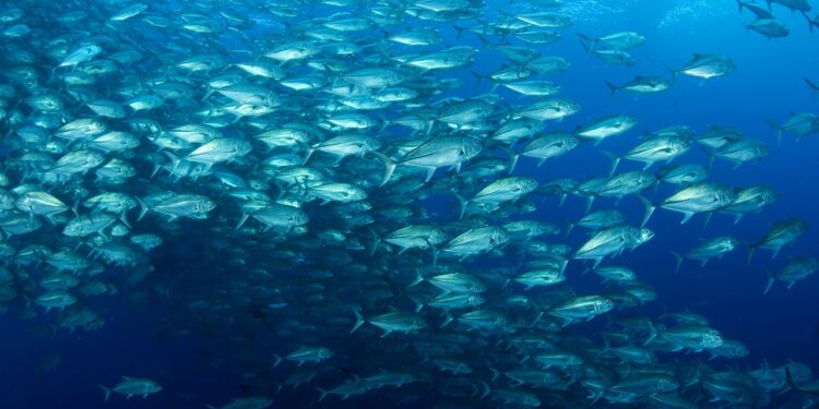 Transformando las redes