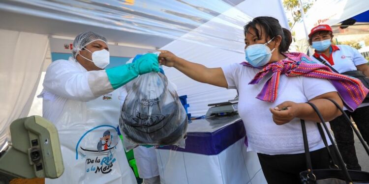Perú logra récord en consumo de pescado en la primera mitad del 2022