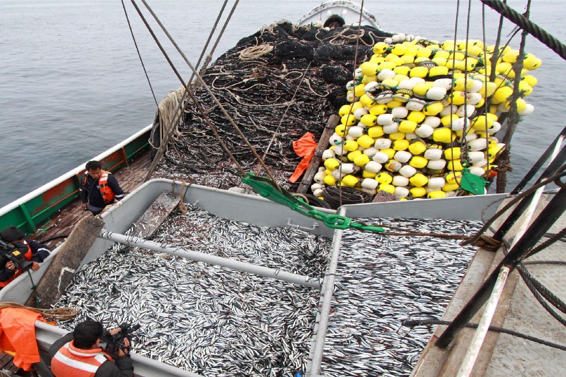 Produce: se capturaron 2.34 millones de toneladas de anchoveta en
