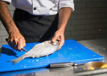 Nuevos “cortes” de pescado para desarrollar productos pesqueros innovadores, sanos y sabrosos con todas las fracciones de la cabeza a la cola