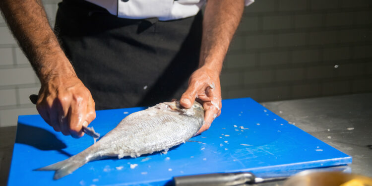 Nuevos “cortes” de pescado para desarrollar productos pesqueros innovadores, sanos y sabrosos con todas las fracciones de la cabeza a la cola