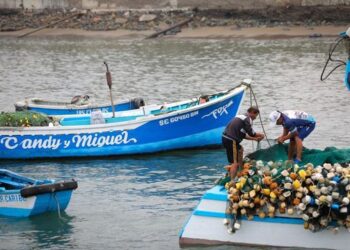 Cayetana Aljovín, titular de la SNP: “Las reducciones de multas debilitan el sistema sancionador”