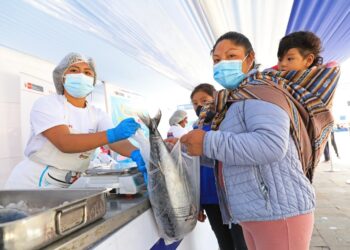 Ministerio de la Producción: Consumo de pescado supera las 1350 toneladas en primer semestre