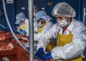 Produce autorizó subvenciones por más de S/ 4.6 millones para proyectos en pesca y acuicultura