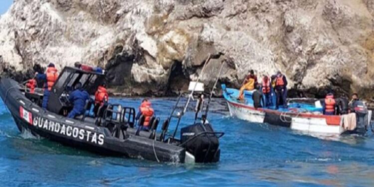 Produce y Dicapi devuelven al mar 1,500 kilos de erizo rojo por extracción en zona de veda