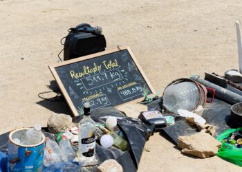 Limpieza Costera: Más de 500 kg de residuos fueron recuperados gracias al programa de la Fundación Coca-Cola