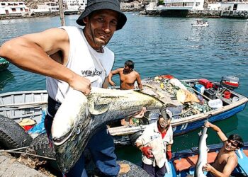 Pesca y acuicultura artesanales son claves