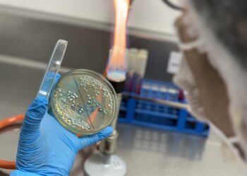 Laboratorios de Sanipes sede Callao amplían y actualizan el alcance de sus metodologías de análisis